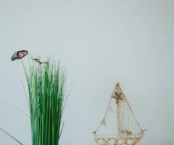 Tomislav Apartamento *